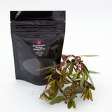 Smoked Salt Tasmania Tasmanian Whole Pepperberry Pouch 60g