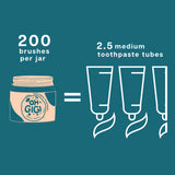 Oh Gigi Tooth Powder Minty Brush Vegan Refillable Jar 40g