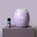 RAWW Sleeping Beauty Aromatherapy Kit
