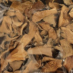 Mushrooms Premium Dried Mixed Forest 50g