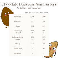 Mindful Foods Chocolate Clusters with Native Davidson Plum Organic & Activated 200g