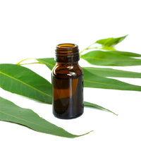Essential Oil Pure Eucalyptus Blue Mallee Organic 25ml