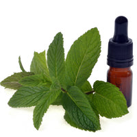 Essential Oil Pure Spearmint Organic 25ml