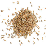 Rye Grain Organic (AUS) 3kg