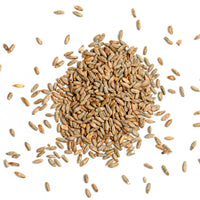 Rye Grain Organic (AUS) 3kg