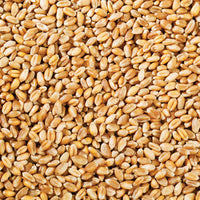 Wheat Grain Organic (AUS) 3kg