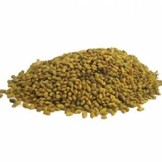 Alfalfa Seeds (AUS) 500g