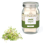 Urban Greens Grow your Own Sprouts Kit Radish